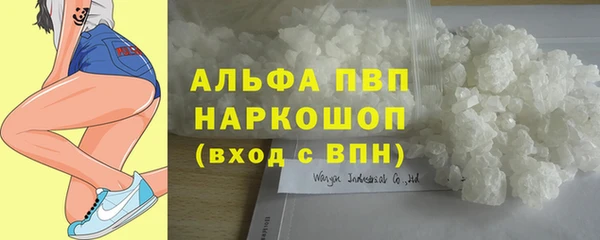 молекула духа Алексеевка