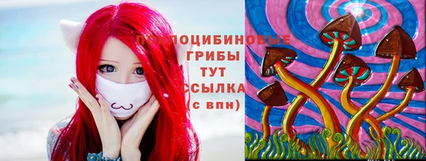 дурь Абинск